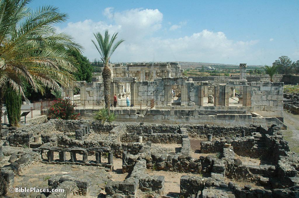 Limestone ruins and palm trees at Capernaum, beside the Sea of Galilee